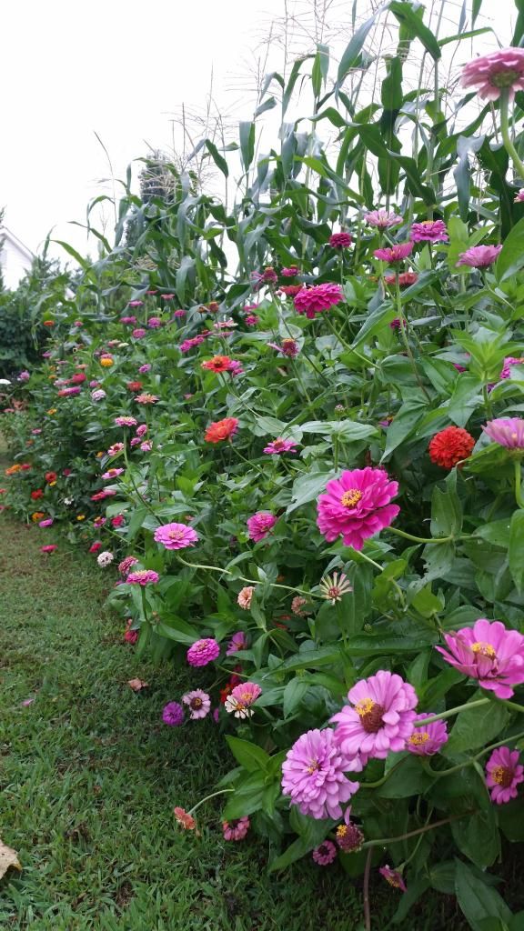  photo 20140710_074132.jpg